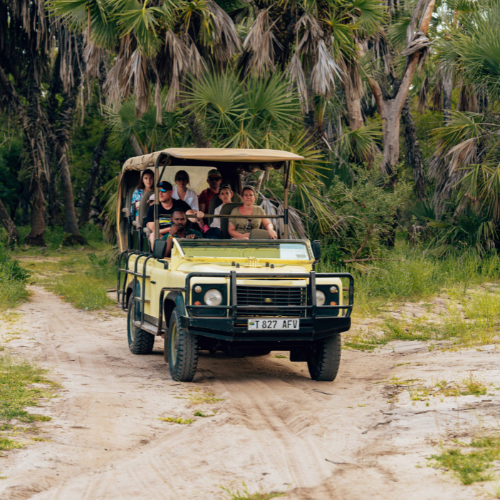 14 Nights Ultimate Zimbabwe Experience