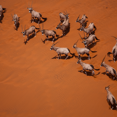 14 Nights Ultimate Namibia Adventure