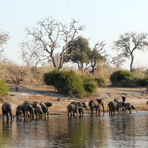 14 Nights Ultimate Botswana Safari