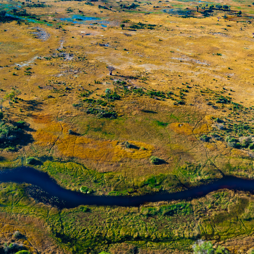 5 Nights Okavango Delta Escape