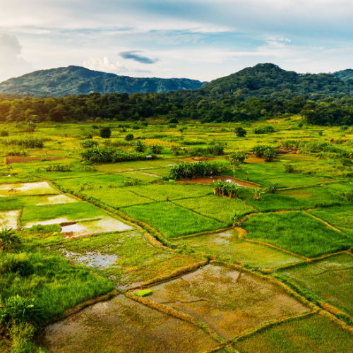 10 Nights Malawi Explorer