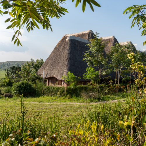 10 Nights Zimbabwe Explorer