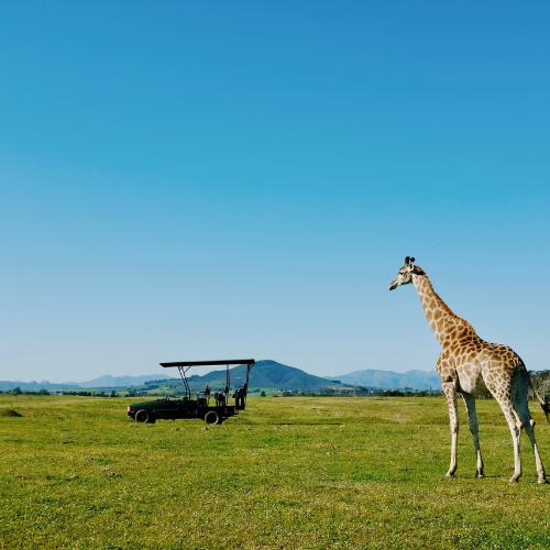 7 Nights Zambia Highlights