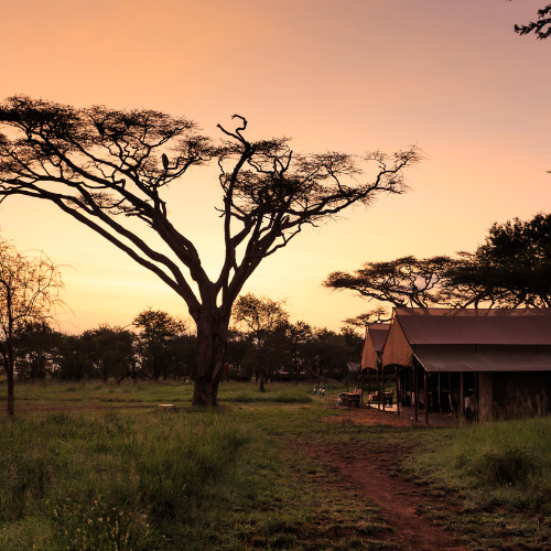 5 Nights Kruger Safari Escape